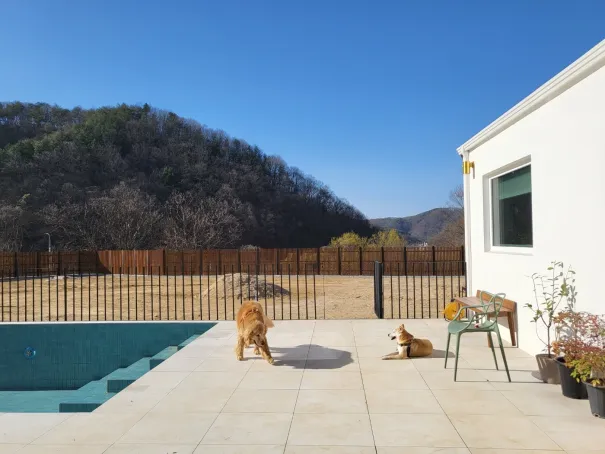 Villa con piscina que admite mascotas