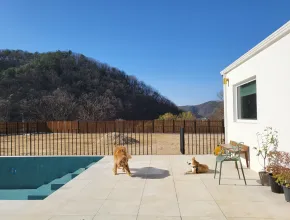 Villa con piscina que admite mascotas