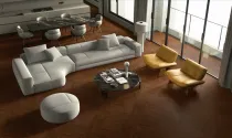Roble majestuoso