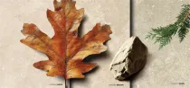 Azulejos antideslizantes para interior y exterior | Serie Limenza en varios tamaños