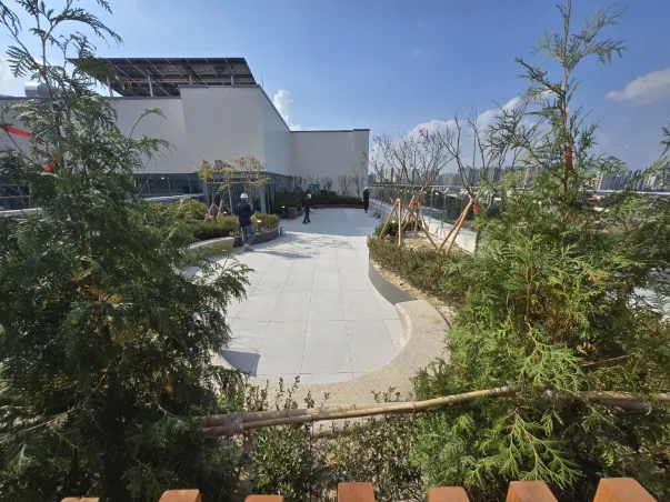 Techo Verde del Hospital