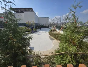 Techo Verde del Hospital