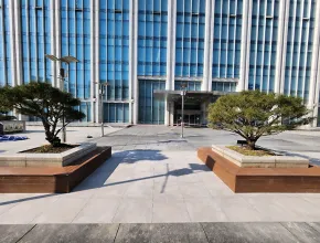Plaza Académica Universitaria